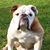 Bobbi Nickell's profile image