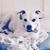 Angela Griffis Lorio's profile image