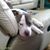 Chris Bengtson's profile image