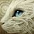 Deirdre Thornhill's profile image