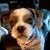 Teresa Craig-Scheuring's profile image