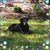 Sue Morin's profile image