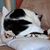 Ruth Adams's profile image