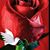 Karin Garza's profile image