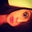 Laura Owens's profile image