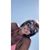 Sue McShane's profile image