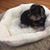Sheryl LaFontaine Pancoast's profile image