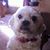 Carolyn S. Cornwell's profile image