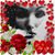 Rose Possien's profile image