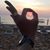 Cường. P.'s profile image