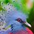 Susan Phillips's profile image