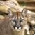 Jim Dahms's profile image