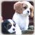 Barbara Vance's profile image