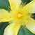 Nancy Raney Anderson's profile image