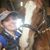 Lacy May's profile image
