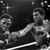 Toney Q. Cobb's profile image