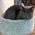 Elaine Bender's profile image