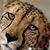 Lucille Diamond's profile image
