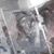 Cathi Neal's profile image