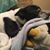 Catherine Spannagel's profile image