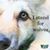 Bob Tetreault's profile image