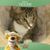 Tami Marie Goettsch-Daves's profile image