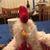 Victoria Penry Langdon's profile image