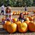 Samantha Muise Pizzuti's profile image