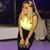 Samin Sazegar's profile image