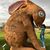 Katie Jo McLagan Hintz's profile image