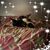 Paula Lynne's profile image