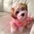 Jenny Cordia's profile image