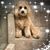 Nancy Burchett-Howard's profile image