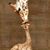 Hailey Doster's profile image