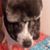 Erik Lilly's profile image