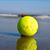 Fred Mcateer's profile image
