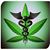 Cindy Mickel Pate's profile image