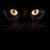 Demmis Jhussefp's profile image