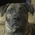 Jayson Susman's profile image