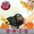 Brenda Turchi's profile image