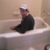 Steve Tubby's profile image