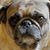 Chris Knopf's profile image