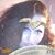Doug Kidd Sonya Brewer's profile image