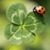 Denise Jones's profile image
