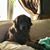 Tina Hargett Berry's profile image