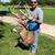 Brian Weddle's profile image