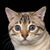 Hermina Hart's profile image