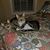 Kathy Fry Kausler's profile image