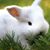Kristi Ttebery's profile image