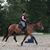Amy Gehrig's profile image